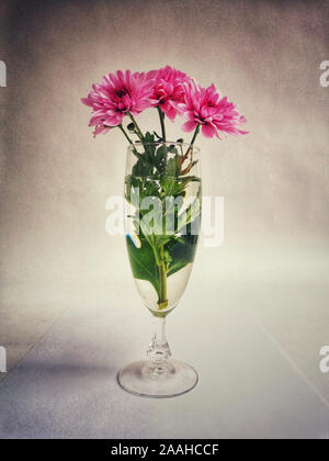 Closeup of a pink dahlia bouquet in a vase on the table under the lights Stock Photo