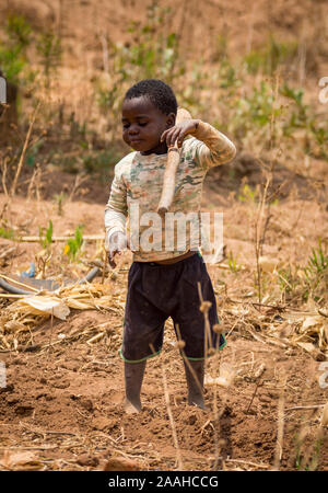 A young child in a rural village in Malawi picks up a hoe Stock Photo