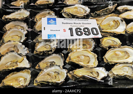 frische austern auf dem sydney fisch markt Stock Photo