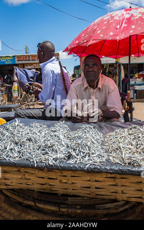 A fish seller in Mzuzu market listens to music on earphones while manning his stall Stock Photo