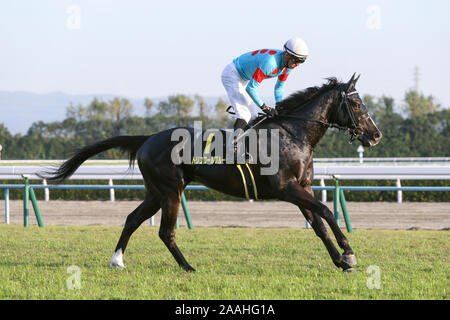 Kyoto, Japan. 16th Nov, 2019. Tricolore Bleu ( Christophe Soumillon) Horse Racing : Tricolore Bleu ridden by Christophe Soumillon before the Kyoto 11R Andromeda Stakes at Kyoto at Kyoto Racecourse in Kyoto, Japan . Credit: Eiichi Yamane/AFLO/Alamy Live News Stock Photo