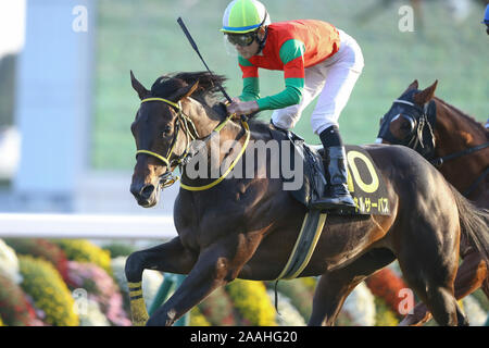 Kyoto, Japan. 16th Nov, 2019. Meiner Surpass (Yusaku Kokubun) Horse Racing : Meiner Surpass ridden by Yusaku Kokubun wins the Kyoto 11R Andromeda Stakes at Kyoto at Kyoto Racecourse in Kyoto, Japan . Credit: Eiichi Yamane/AFLO/Alamy Live News Stock Photo