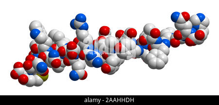 Hormone glucagon 3D molecular structure Stock Photo