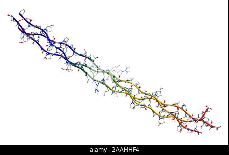 Human collagen molecule (segment) Stock Photo