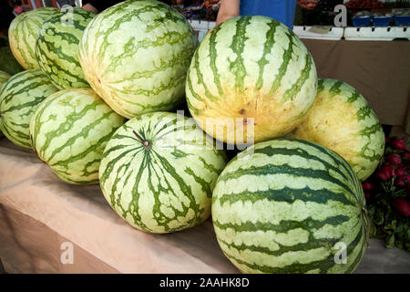 watermelons for sale at a farmers market local produce in celebration florida usa Stock Photo