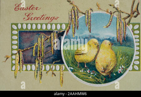 Easter greetings in a colorful vintage post card from USA ca 1910, illustration with yellow chicks and catkins Stock Photo