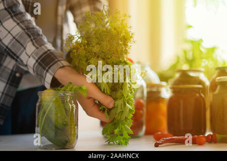 process of pickling the different vegetables in the glass jar, homemade pickled harvest Stock Photo
