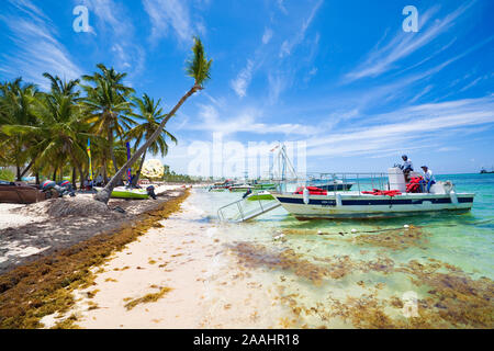 PUNTA CANA, DOMINICAN REPUBLIC - JUNE 24, 2019: Inhabitants working for tourist industry on tropical Bavaro beach in Sargasso sea Stock Photo