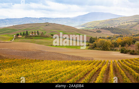 Tuscany Landscape  Val d'Orcia Italy Toscana Authentic Countryside in Winter Stock Photo
