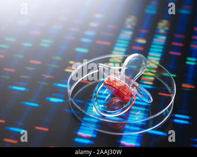 Baby soother in petri dish to illustrate baby next to human DNA profile Stock Photo