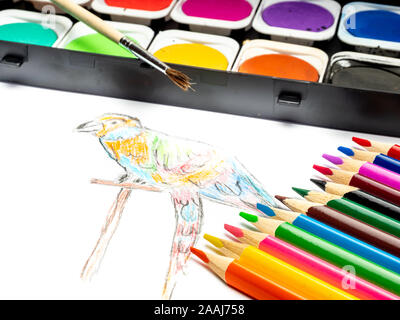 hand-painted parrot with colored pencils and paint box Stock Photo