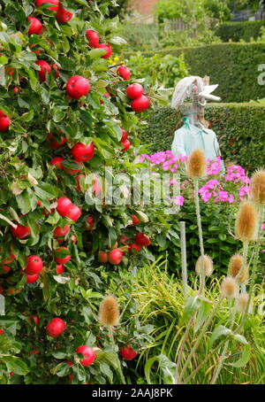 A scarecrow in a suburban summer allotment garden in Sheffield, England, UK Stock Photo