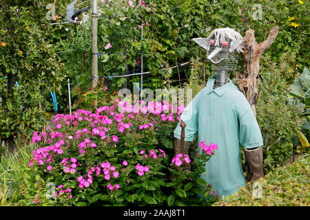 A scarecrow in a suburban summer allotment garden in Sheffield, England, UK Stock Photo