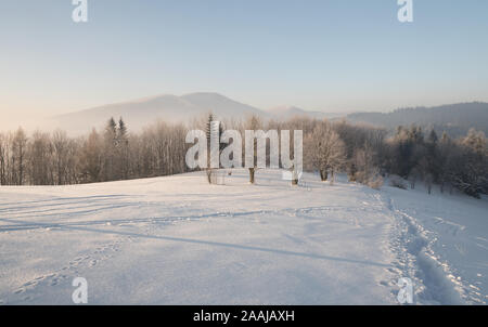 winter morning on Butoranka bellow Lysa hora hill in Moravskoslezske Beskydy mountains in Czech republic with snow, frozen trees and hills on the back Stock Photo