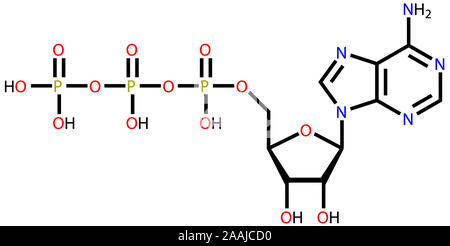 Adenosine triphosphate (ATP) structural formula Stock Photo