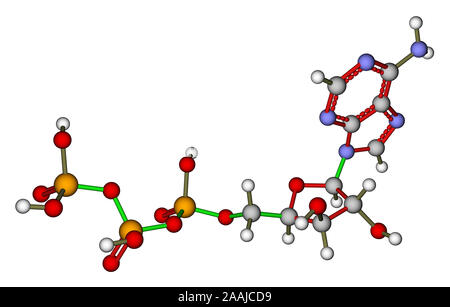 Adenosine triphosphate (ATP) molecular structure Stock Photo