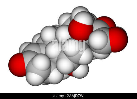 Cortisol space-filling molecular model Stock Photo