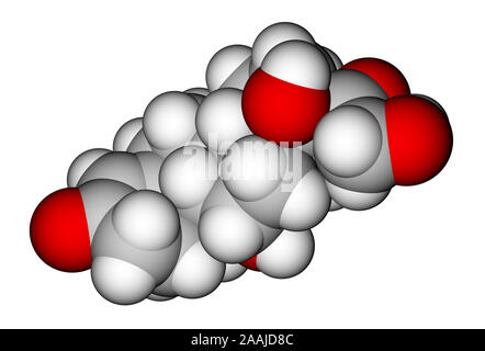 Cortisol space-filling molecular model Stock Photo