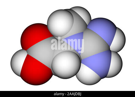 Creatine 3D molecular structure Stock Photo - Alamy