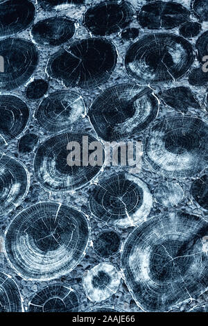 Abstract wall picture. Contemporary fine art print for interior designers. Stock Photo