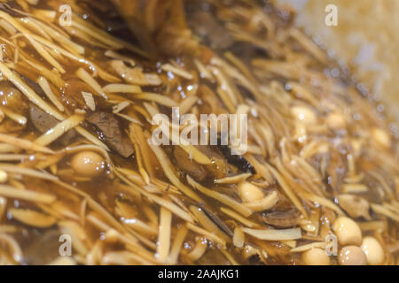 fish maw soup in thai modern style, main ingrediente is bamboo shoot all over in soup cook in huge pot Stock Photo