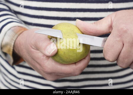 Malus. Man peeling a Ribston Pippin eating apple with a knife. UK Stock Photo