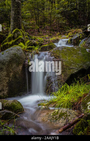 River and forrest rocks with visible movement and blur of the water. Landscape view Stock Photo