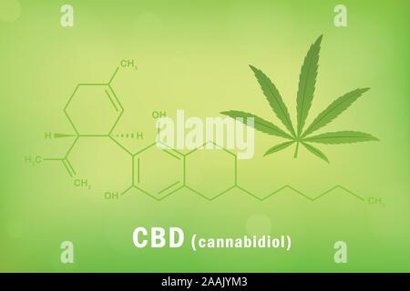 cbd cannabidiol chemical formula with cannabis leaf vector illustration EPS10 Stock Vector