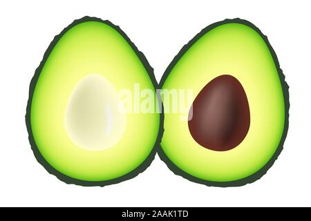 Green avocado fruit sliced, with seed and natural colors. Vector illustration. Stock Vector