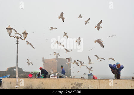 Fishermen and seagulls in front of the 18th century South Bastion, Skala du Port. A Unesco World Heritage Site, Essaouira. Morocco Stock Photo