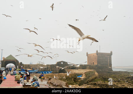 Fishermen and seagulls in front of the 18th century South Bastion, Skala du Port. A Unesco World Heritage Site, Essaouira. Morocco Stock Photo