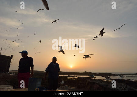 Fishermen and seagulls at twilight, in front of the 18th century South Bastion, Skala du Port. A Unesco World Heritage Site, Essaouira. Morocco Stock Photo