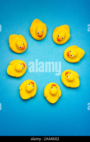 circle of yellow toy rubber ducks on blue background Stock Photo