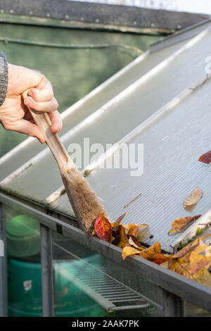 Gardener clearing tree leaves with a brush out of a greenhouse guttering in autumn Stock Photo