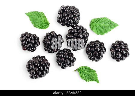 Fresh blackberry with leaves isolated on white background. Top view. Flat lay pattern. Stock Photo