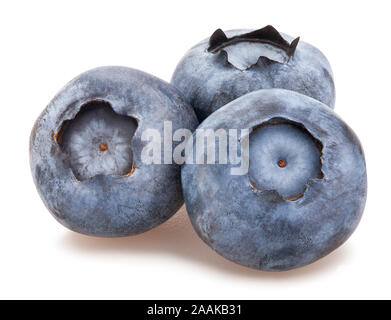 blueberry path isolated on white Stock Photo