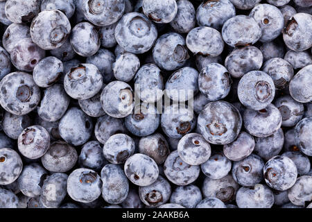 blueberry background texture tile pattern Stock Photo