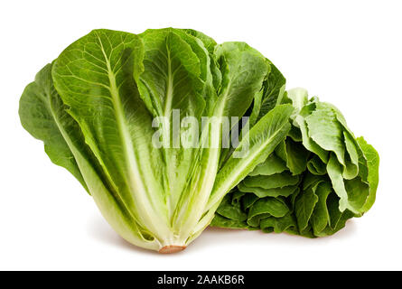 romain lettuce path isolated on white Stock Photo