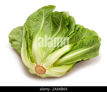 romain lettuce path isolated on white Stock Photo