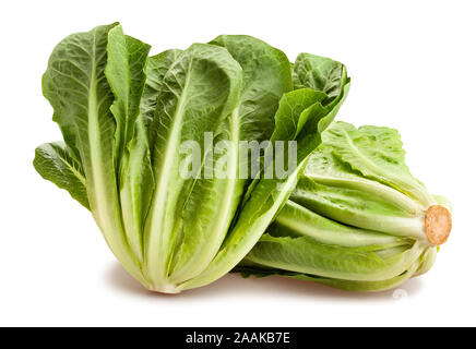 romain lettuce path isolated on white Stock Photo