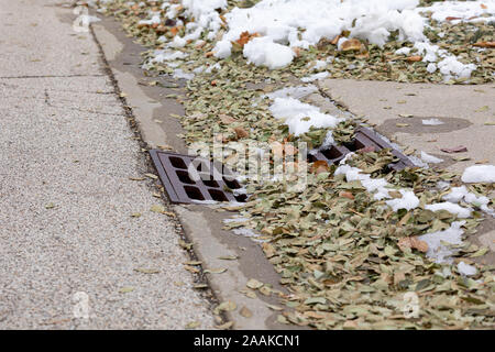 Storm sewer gutter drain grate in city street curb covered in melting snow and leaves after autumn snowstorm Stock Photo