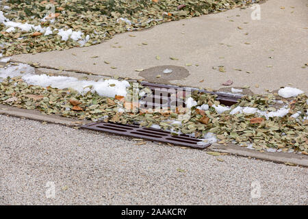 Storm sewer gutter drain grate in city street curb covered in melting snow and leaves after autumn snowstorm Stock Photo