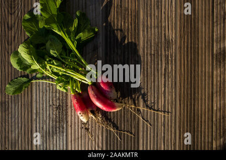 Bunch of Radishes on Wood Background Stock Photo