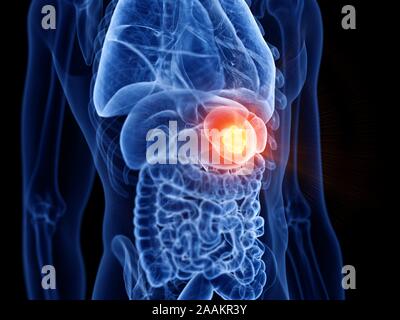 3d rendering medical illustration of a male Brain anatomy PITUITARY ...