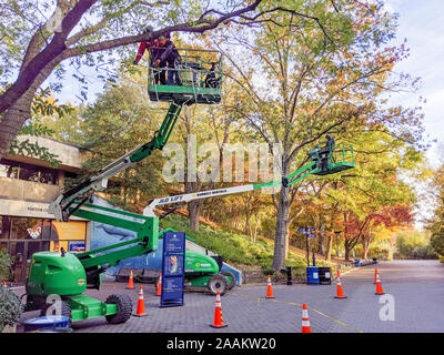 Grounds keepers in cherry picker cranes prune trees at the National Zoo in Washington, DC, autumne 2019. Stock Photo