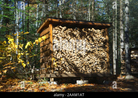 Firewood stacked in an outdoor shed. Stock Photo