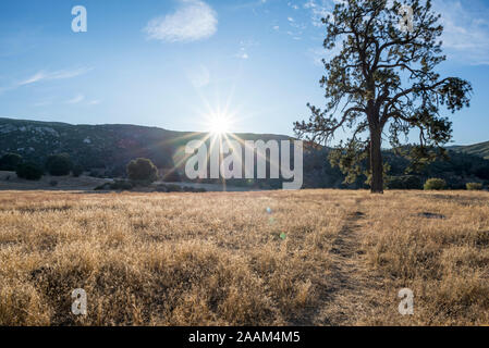 November sunrise at Cuyamaca Rancho State Park. San Diego county, California, USA. Stock Photo