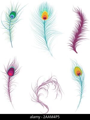 Tasteful Decorative Feathers collection, vector illustration. Stock Vector