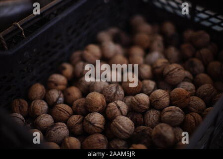 A lot of walnuts in the peel close up. Stock Photo