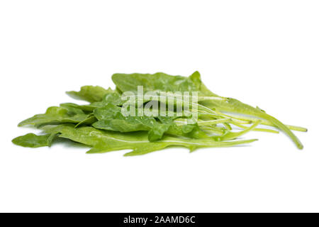 Closeup leaves of fresh arugula rucola isolated on white background. Stock Photo